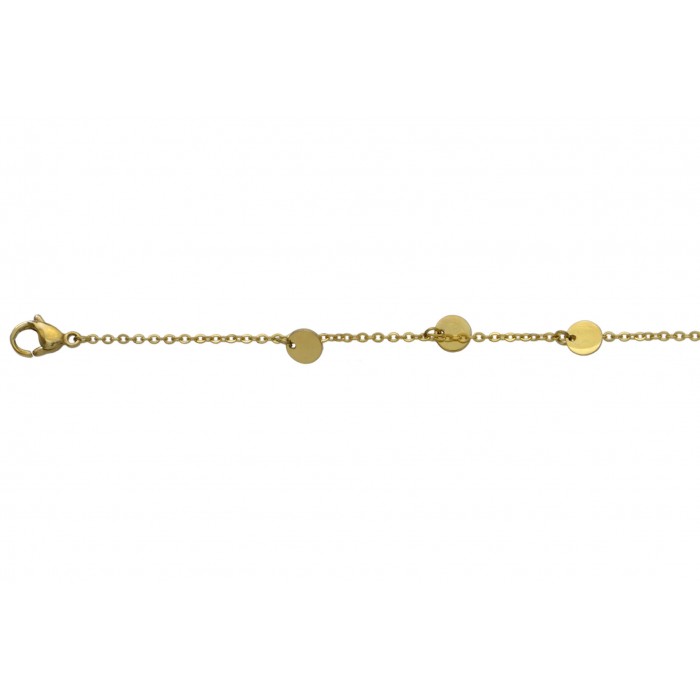 Steel bracelet/ip gold