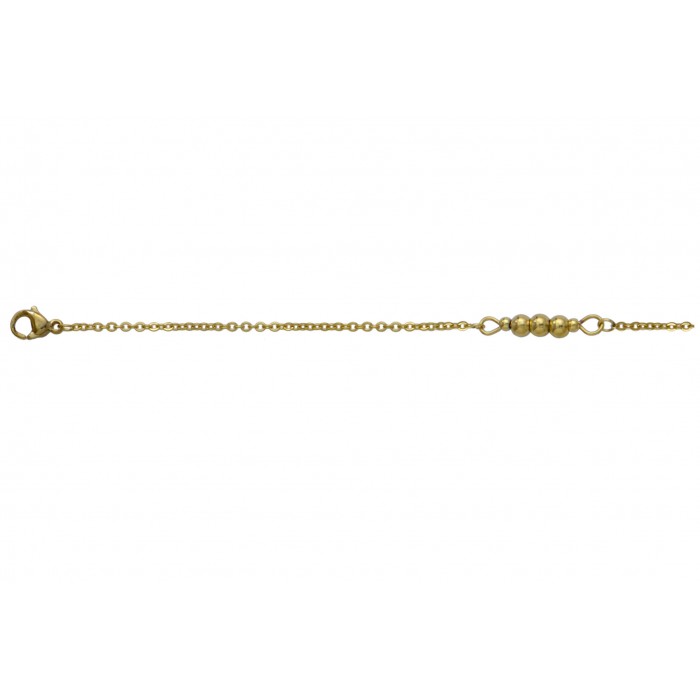 Steel necklace/ip gold