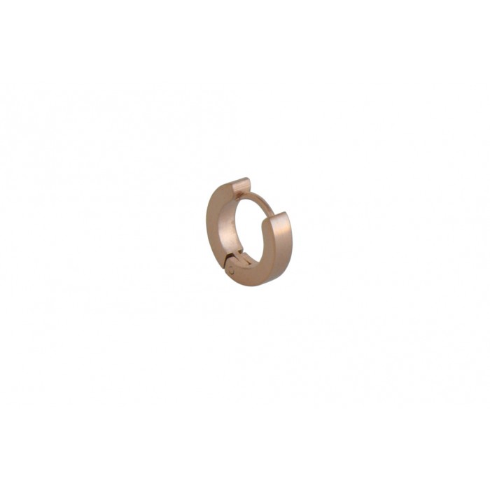 Steel earring/ip rose gold