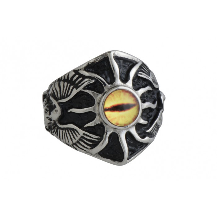 Steel ring/résine époxy