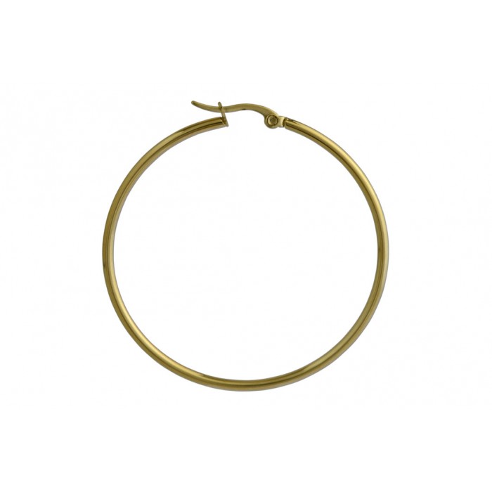 Steel hollow hoop/cliquet/ip gold/2x50mm