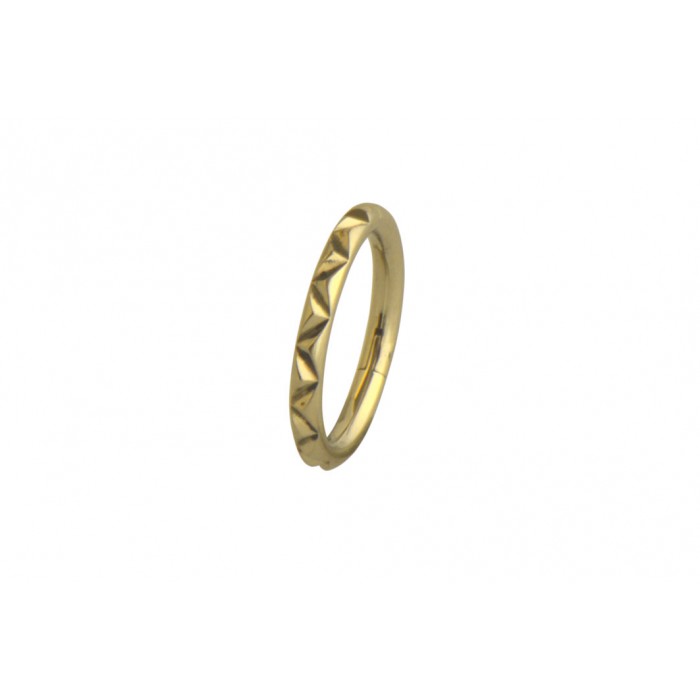 Steel ip gold segment ring 1.2mm / à l'unité