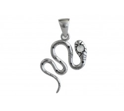 Pendentif argent pierre/serpent