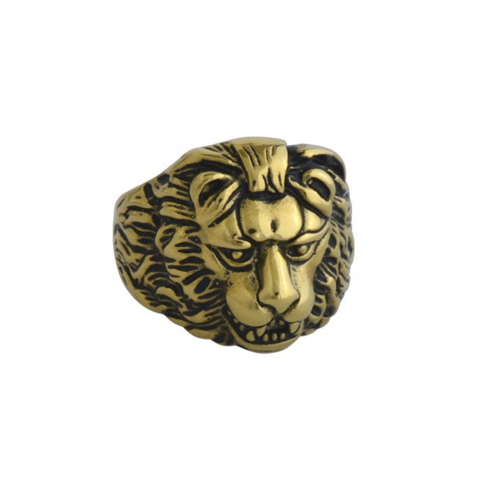 Steel Ip gold ring
