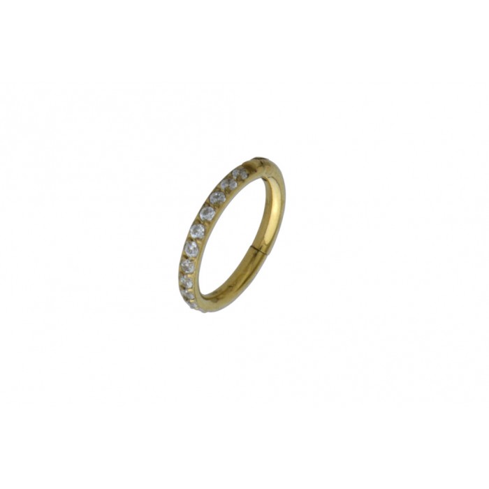 Steel Ip Gold Segment Ring 1.2mm / à l'unité